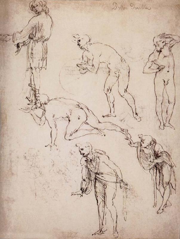 LEONARDO da Vinci Six studies fur naked or clothed men Sweden oil painting art